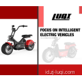 Skuter Listrik dengan Sepeda Motor Baterai Lithium yang Dapat Dilepas